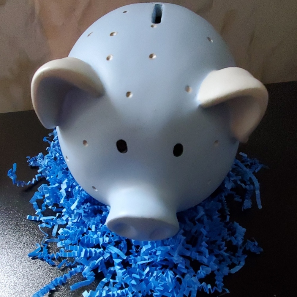 💙Piggy bank💙